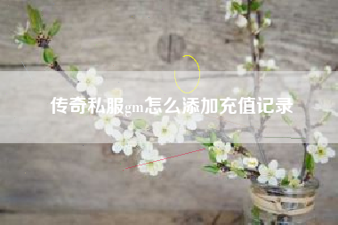 传奇私服gm怎么添加充值记录