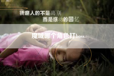 魔域哪个角色打boss