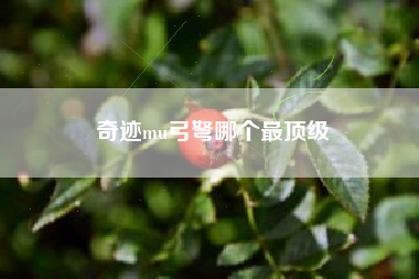 奇迹mu弓弩哪个最顶级