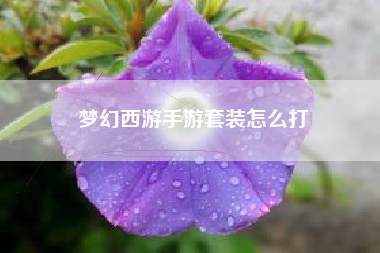 梦幻西游手游套装怎么打