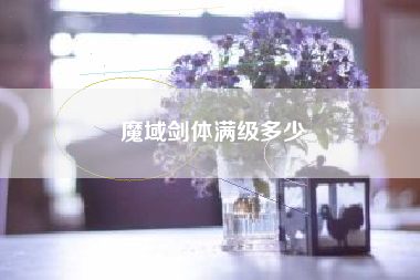 魔域剑体满级多少