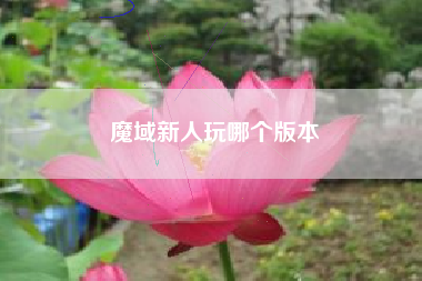 魔域新人玩哪个版本
