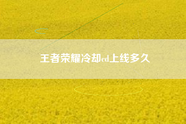 王者荣耀冷却cd上线多久