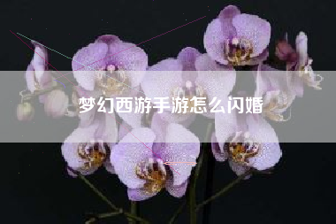 梦幻西游手游怎么闪婚