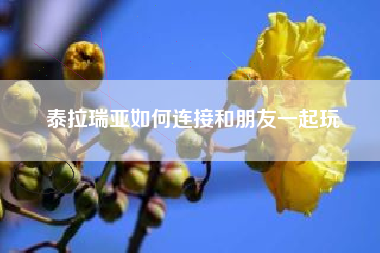 泰拉瑞亚如何连接和朋友一起玩